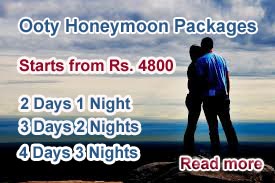 Ooty Honeymoon Packages